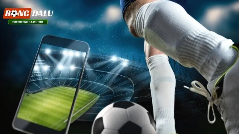 Giới thiệu cụ thể phần mềm cá độ bóng đá