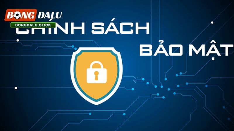 bongdalu cam kết không chia sẻ thông tin người dùng 
