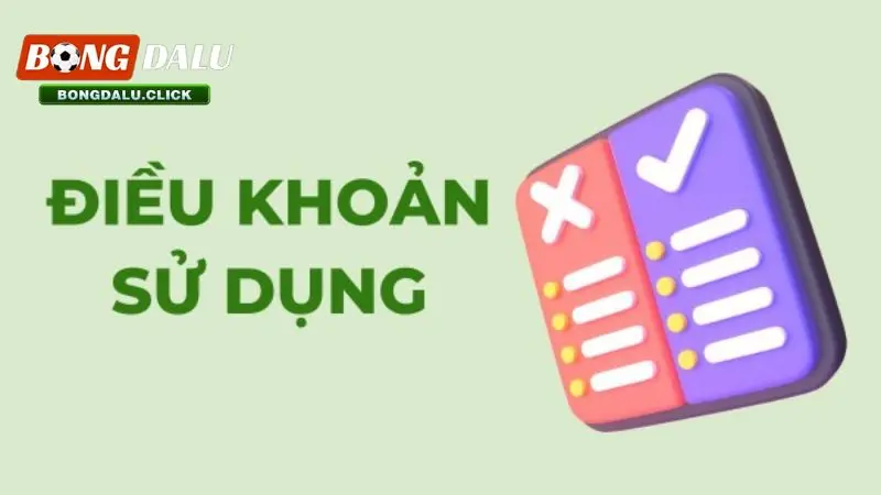 Điều khoản sử dụng bongdalu tổng quan nhất dành cho người chơi